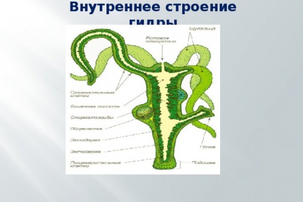 Кракен сайт вход официальный зеркало